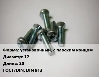 Винт установочный, с плоским концом 12х20 DIN 913